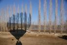 Banyoles 005